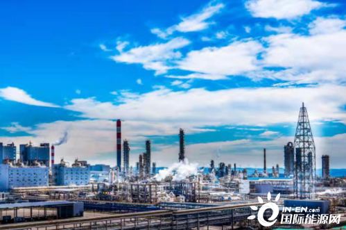 能源保障能力躍上新臺(tái)階 推動(dòng)三大目標(biāo)協(xié)調(diào)優(yōu)化發(fā)展