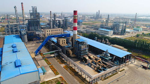 石油化工業(yè)務(wù)板塊 能源轉(zhuǎn)型時(shí)代的基石與引擎