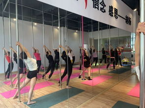 勁爆好消息！胡楊舞蹈周年特惠，僅198元體驗舞蹈魅力！